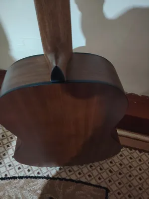 Professional gitara 7 1