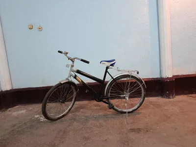 velik sotiladi 1