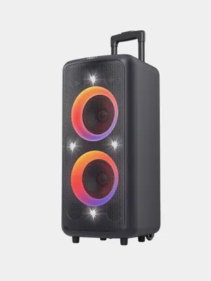 Колонка Fenda Pa300 1