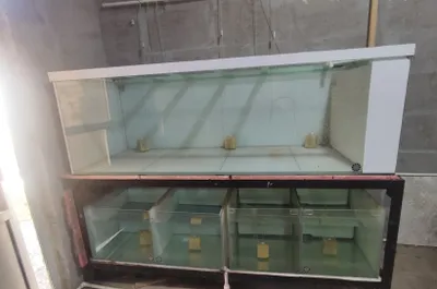 Продаётся аквариум на 1 тонну в Андижане 1