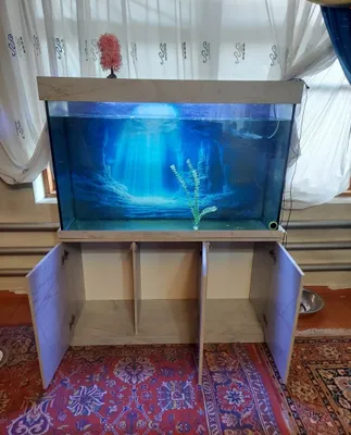 Akvarium, yarim yil foydalanilgan 1