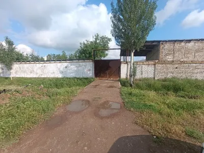 Ferma sotiladi 80 sotok . Gallakudukda 1