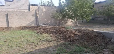 пору таппи учун бепул текинга берилади 1