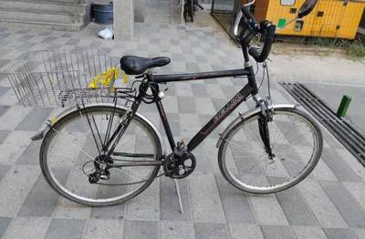 BELLINI 28 velosipedi sotiladi 1