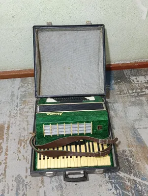 акардион 1