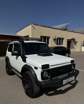 Niva. bronto 1