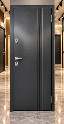 Железные двери 1