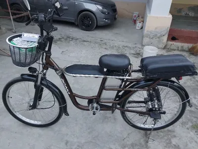 Sikutir holati alo. 1