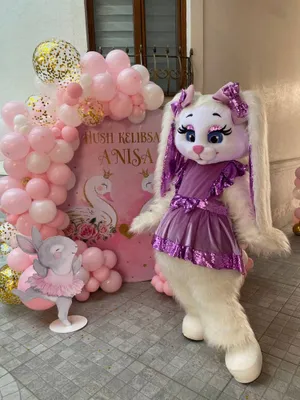 Bayram uchun animatorlar va kostyumlar ijarasi | ijara | qo‘g‘irchoqlar 1