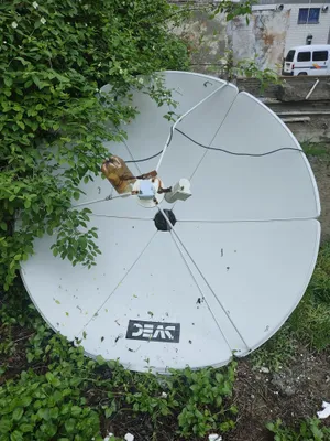 Parabolik antenna 1