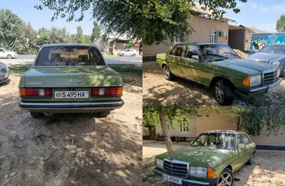 Mercedes-Benz W123