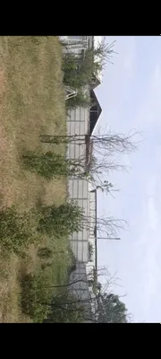 СРОЧНО. 5 соток, коробка с 2 комнатами, территория огорожена. Кувасай, Кокилон 1