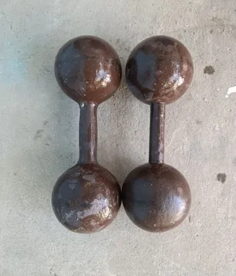 Har biri 16 kg li gantellar