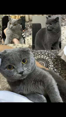 Xushbichim qizlarni onanizm