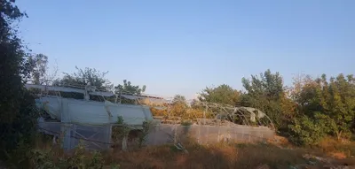 Теплица 1