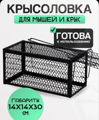 Ловушка для жывотных Qopqon kalamush 1