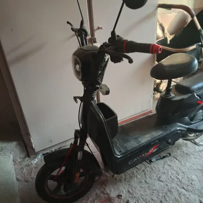 sukutr sotiladi narhi 100$ 1