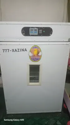INKIBATR 550 TA TUHUM SIGʻIMLI 1