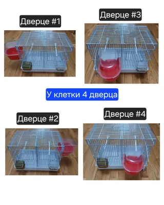 Qushlar uchun qafas: kanareyka, sa'va, norchi, repel, chij, qirolcha, to‘tiqush 1