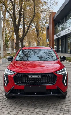 Haval Jolion, 2024, автомат. 1