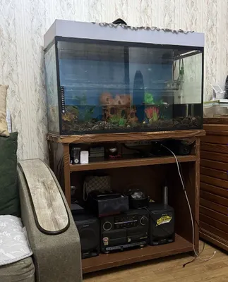 Akvarium+tumba to‘liq to‘plam