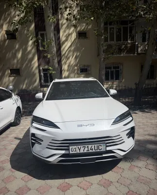 BYD chempion 110 talik 1