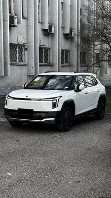 Dongfeng Nammi 06 1
