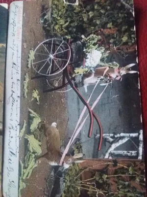 Qadimiy otkritkalar, Fransiya. 1
