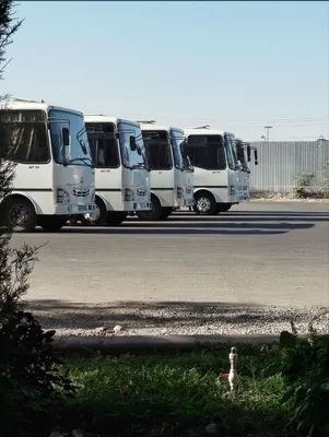 Заказ автобуса. Услуги автобуса на заказ 1