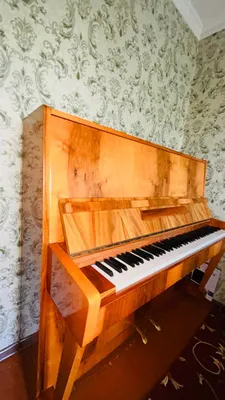 Fortepiano Беларусь 1