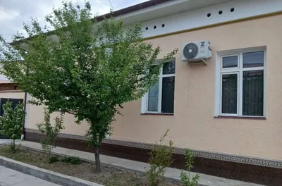 Участка байткоргон 1