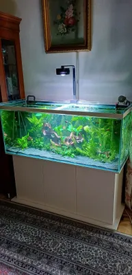Akvarium tayyorlash. 1