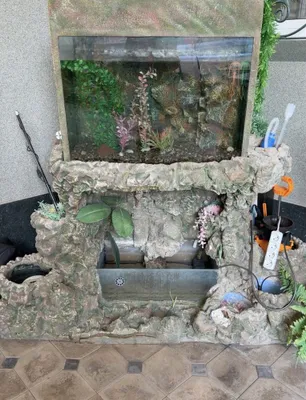 Sharsharali akvarium
