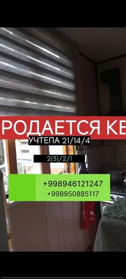 Kvartira 1