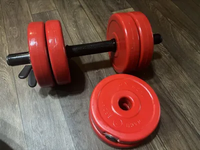 8 kg li gantel, 1,25 kg dan disklar 1