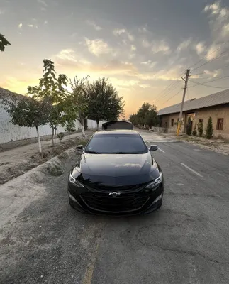 Malibu 2 в сухую аренду