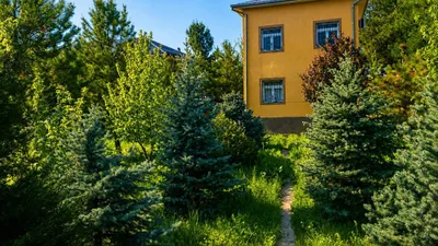 Продаётся дача рассмотрим вариант обмена на квартиру 1