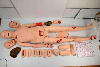 O‘quv anatomik maketlar 1
