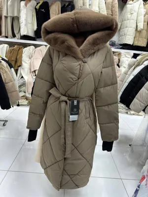 kurtkalar 1