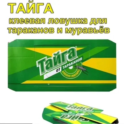 Ловушка для тараканов и муравьёв. 1