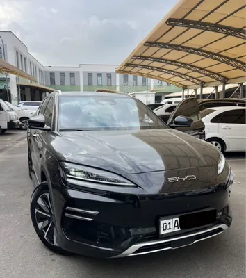 BYD Chempion restayling 1