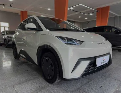 BYD Seagull за наличные и в рассрочку без переплаты 1