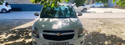 Cobolt 2-pozitsiya 2019 1