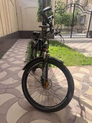 Velosiped Altezza 1