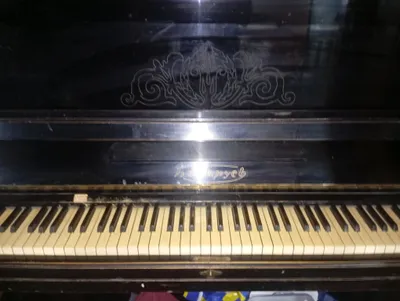 Pianino, kim tovush chiqarishni xohlaydi 1