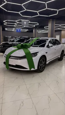 Byd qin L ev 545 km 1
