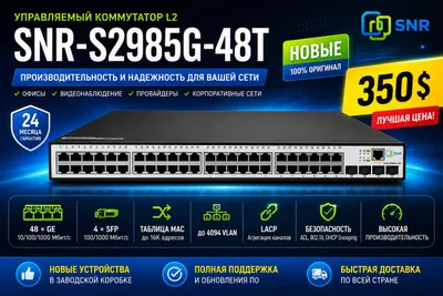 SNR-S2985G-48T