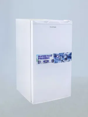 WellStars DeFrost mini muzlatgichi, 90 l 1