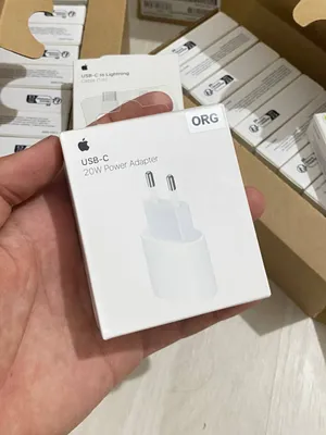 2pin (Asia) Apple Adapter 1