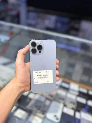 iPhone 13 Pro Max